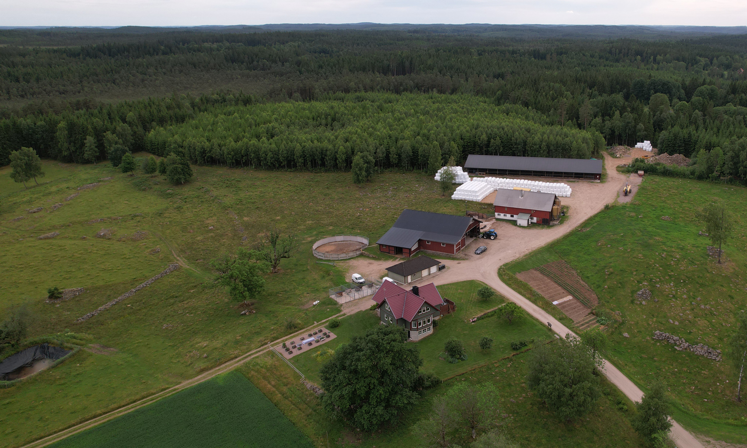 Flygfoto över en stor gård med maskinhall, ladugård, uthus och ett grönt boningshus. Skog och åkrar runt omkring.
