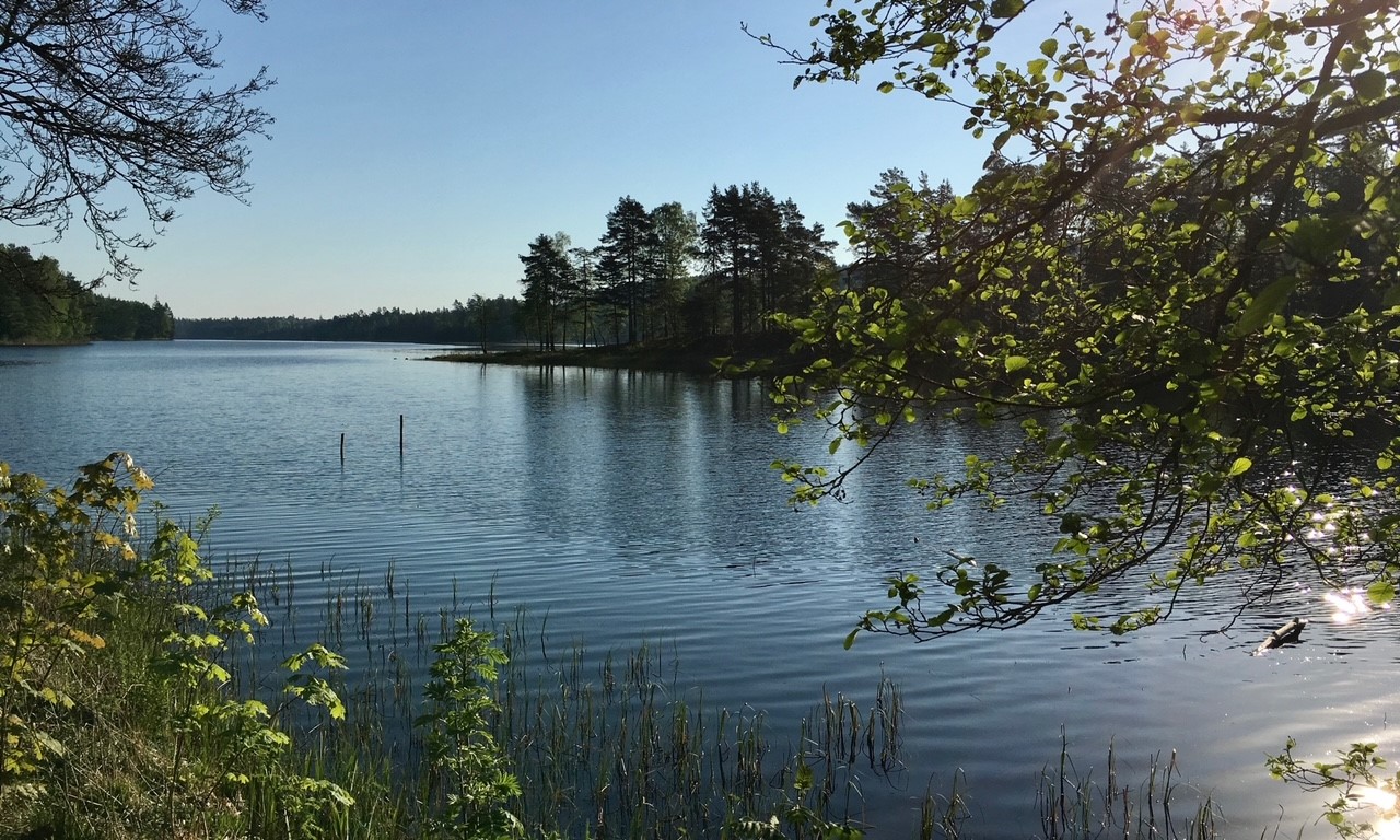 En sjö med träd i förgrunden. Sjön heter Lilla Hallången och ligger i Överlida.